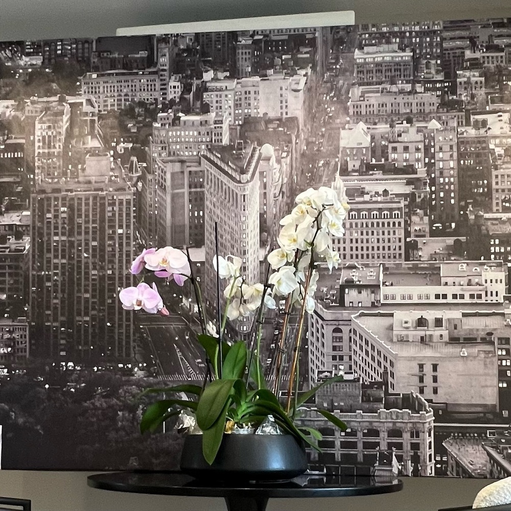 Vintage IKEA Wall Art - Iconic Flatiron Building NYC Print by Angelo Cavalli